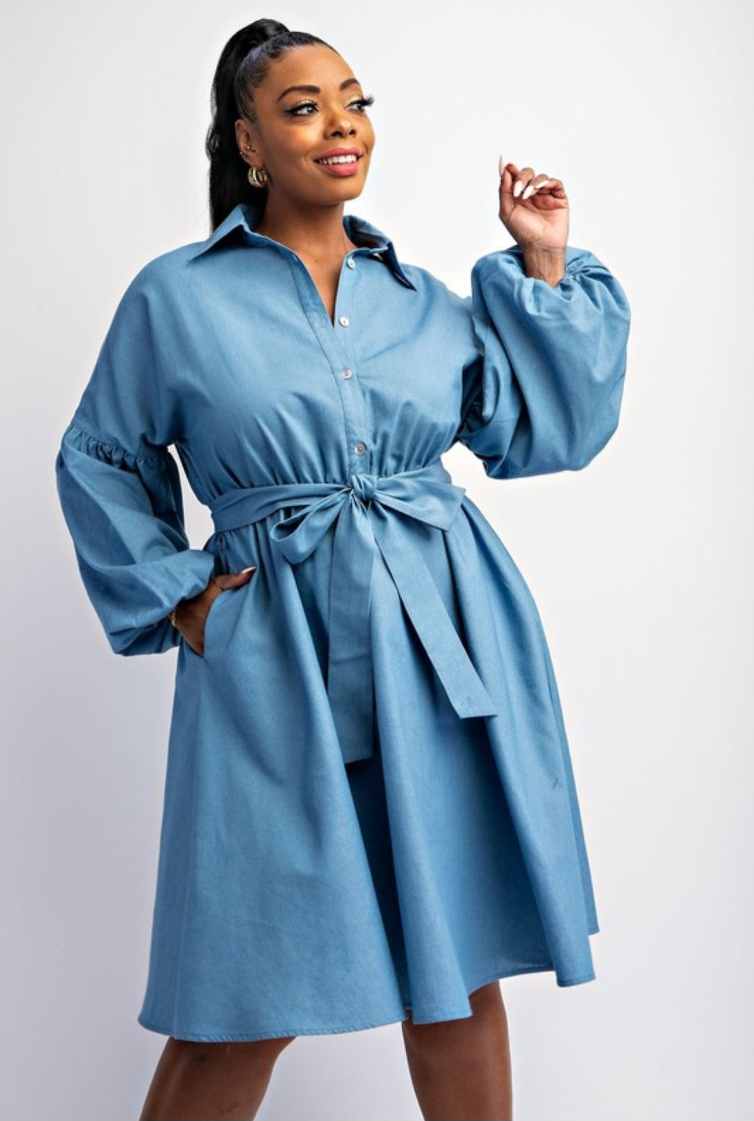 Ladylike Denim Dress